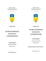 Phát triển công nghiệp phụ trợ cho ngành da giày tại thành phố Hồ Chí Minh