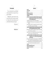 Những vấn đề lý luận và thực tiễn về cổ phần hóa và sau cổ phần hóa các doanh nghiệp nhà nước ở Việt Nam