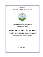 Nghiên cứu bào chế hệ tiểu phân nano lipid ibuprofen
