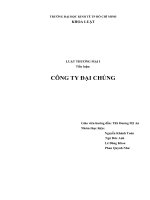 Tiểu luận môn thương mại 1 về công ty đại chúng