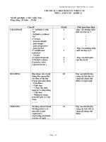 chủ đề tự chon bám sát Tiếng anh 11cb