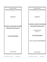 Phát triển các nghề tiểu thủ công nghiệp ở huyện phổ yên, tỉnh thái nguyên