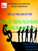 giải pháp củng cố và định hướng phát triển hệ thống nhtm việt nam