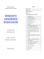 Phân tích năng lực phục vụ của Ngân hàng Thương mại Việt Nam dưới tác động của tự do hóa tài chính