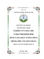 NGHIÊN CỨU BÀO CHẾ VI BỌT PHOSPHOLIPID DÙNG LÀM CHẤT TƢƠNG PHẢN TRONG SIÊU ÂM CHẨN ĐOÁN