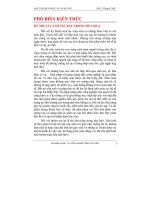 KỸ THUẬT CANH TÁC RAU TRONG MÙA MƯA