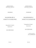 PHÂN LỚP ĐỐI ĐỒNG ĐIỀU CÁC ANNHÀM TỬ VÀ CÁC ANNPHẠM TRÙ BỆN