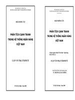 Phân tích cạnh tranh trong hệ thống ngân hàng thương mại Việt Nam