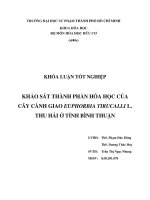 Khảo sát thành phần hóa học của cây cành giao euphorbia tirucalli l  thu hái ở tỉnh bình thuận 