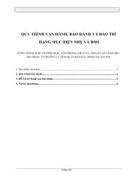 Quy trinh van hanh bao hanh va bao tri HẠNG MỤC ĐIỆN NHẸ VÀ BMS