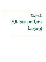 Chapter 6:  SQL (Structured Query Language)
