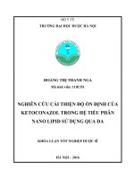 Nghiên cứu cải thiện độ ổn định của ketoconazol trong hệ tiểu phân nano lipid sử dụng qua da 