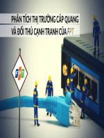 Phân tích thị trường cáp quang và đối thủ cạnh tranh của FPT