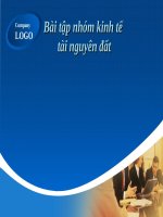 Bài tập nhóm kinh tế tài nguyên đất