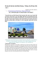 20 năm đô thị hóa tỉnh bình dương