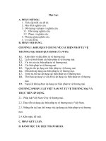 Pháp luật về tự vệ thương mại và thực tiễn áp dụng tại việt nam