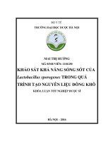 Khảo sát khả năng sống sót của Lactobacillus sporogenes trong quá trình tạo nguyên liệu đông khô