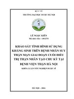 Khảo sát tình hình sử dụng kháng sinh trên bệnh nhân suy thận mạn giai đoạn cuối điều trị thận nhân tạo chu kỳ tại bệnh viện thận hà nội 