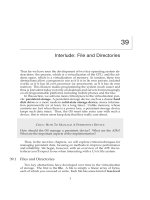 Interlude: File and Directories