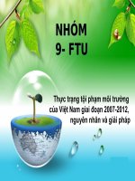 Thực trạng tội phạm môi trườngcủa việt nam giai đoạn 2007 2012, nguyên nhân và giải pháp 