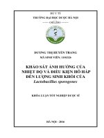 Khảo sát ảnh hưởng của nhiệt độ và điều kiện hô hấp đến lượng sinh khối của Lactobacillus sporogenes