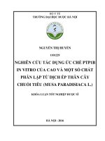 Nghiên cứu tác dụng ức chế PTP1B in vitro của cao và một số chất phân lập từ dịch ép thân cây chuối tiêu (musa paradisiaca l ) 