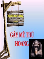 Tài liệu :  GÂY MÊ THÚ HOANG