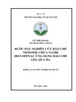 Bước đầu nghiên cứu bào chế niosome chứa natri diclofenac ứng dụng bào chế gel qua da 