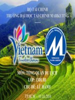 TỔNG QUAN DU LỊCH: Sản Phẩm, Sơ đồ Tổ chức, Hoạt động Kinh Doanh của Công ty Lữ hành