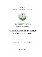 Triển khai mô hình gây hội chứng cai morphin 