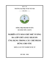 Nghiên cứu bào chế nhũ tương đa lớp chứa dầu silicon ứng dụng trong các chế phẩm dùng cho tóc 