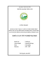 Đánh giá thực trạng và đề xuất một số biện pháp phòng trừ sâu hại chính trong mô hình nông lâm kết hợp tại xã dương phong   huyện bạch thông   tỉnh bắc kạn 