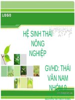 Hệ sinh thái nông nghiệp