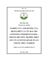 Nghiên cứu ảnh hưởng của dịch chiết lá cây rau mỏ (gymnema inodorum (LOUR )dence) đến mức độ biểu hiện gen của enzym g6pase ở gan chuột thực nghiệm 