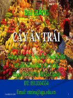 Tài liệu hay  Cây ăn trái