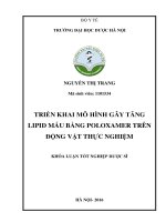 Triển khai mô hình gây tăng lipid máu bằng poloxamer trên động vật thực nghiệm 