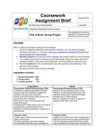 Group Assignment Brief_Spring 2016
