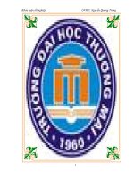 giải pháp ERP cho công ty cổ phần Đầu tưThương mại và Dịch vụ Cầu Giấy