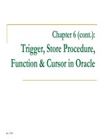 Chapter 6  Trigger Store Procedure Function  Cursor in Oracle