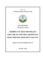 Nghiên cứu bào chế pellet chứa hệ tự nhũ hóa artesunat bằng phương pháp đùn tạo cầu 