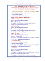 skkn một số biện pháp chỉ đạo đổi mới sinh hoạt chuyên môn, nâng cao chất lượng dạy và học ở trường tiểu học 