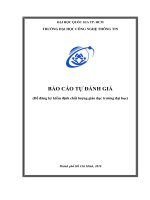 BÁO CÁO TỰ ĐÁNH GIÁ (Để đăng ký kiểm định chất lượng giáo dục trường đại học)
