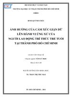 Ảnh hưởng của cảm xúc giận dữ lên hành vi ứng xử của người lao động trí thức trẻ tuổi tại thành phố hồ chí minh 
