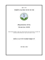 Phân tích chi phí   hiệu quả một số phác đồ tầm soát và điều trị loãng xương ở phụ nữ việt nam trên 45 tuổi 