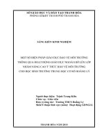 skkn một số biện pháp giáo dục bảo vệ môi trường thông qua hoạt động giáo dục NGLL nhằm nâng cao ý thức bảo vệ môi trường 