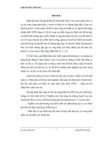 Nghiên cứu khả năng hạ đường huyết của cây chuối hột musra barjoo sieb lên chuột gây tiểu đường type 2 