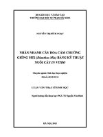Nhân nhanh cây hoa cẩm chướng giống mix (dianthus mix) bằng kỹ thuật nuôi cấy in vitro 