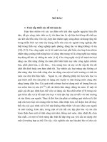 Tiểu luận nghiên cứu chế tạo lớp phủ bảo vệ cho hợp kim nhôm trên cơ sở nanosilica bằng phương pháp điện di lắng đọng 