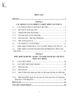 Điều kiện karush kuhn tucker mạnh cho bài toán tối ưu đa m 