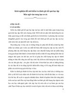 skkn kinh nghiệm đổi mới kiểm tra đánh giá kết quả học tập môn ngữ văn trung học cơ sở 